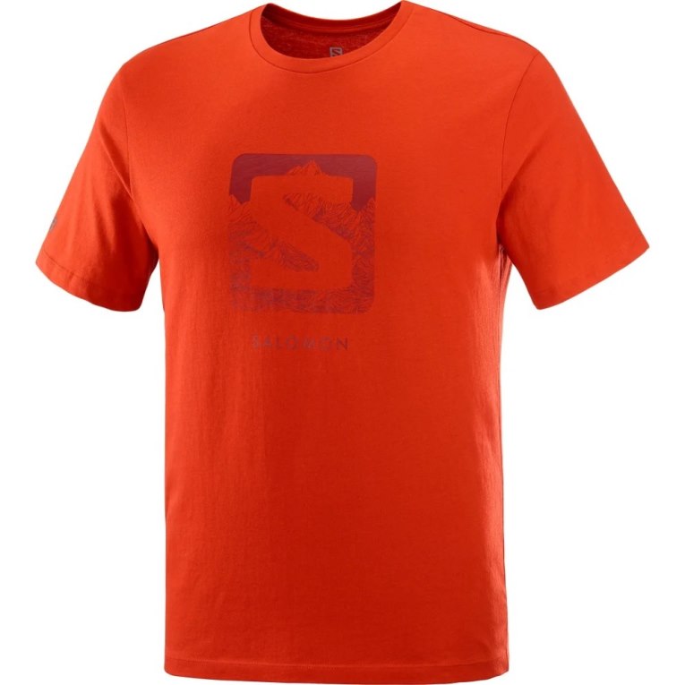 Camiseta Salomon Outlife Logo Corta Sleeve Hombre Naranjas | MX FSOW103